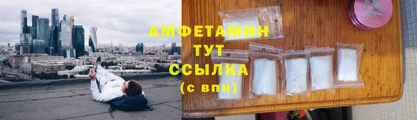 прущие грибы Инсар