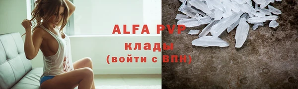 сатива Зеленокумск