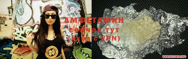 сатива Зеленокумск