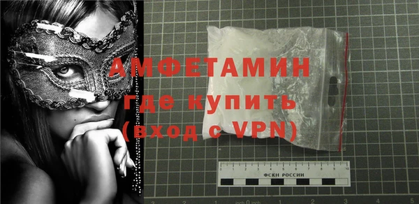прущие грибы Инсар