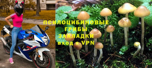 крисы Зеленодольск