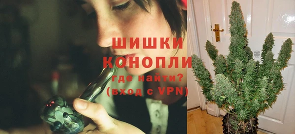 сатива Зеленокумск